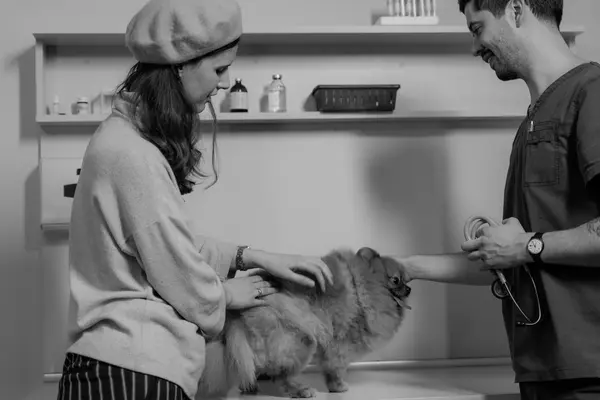 Propietaria y veterinario atendiendo a un perro pequeño en consulta